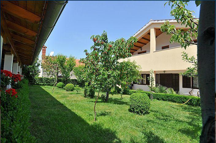 Apartment Pokrajac Rovinjsko Selo Cameră foto